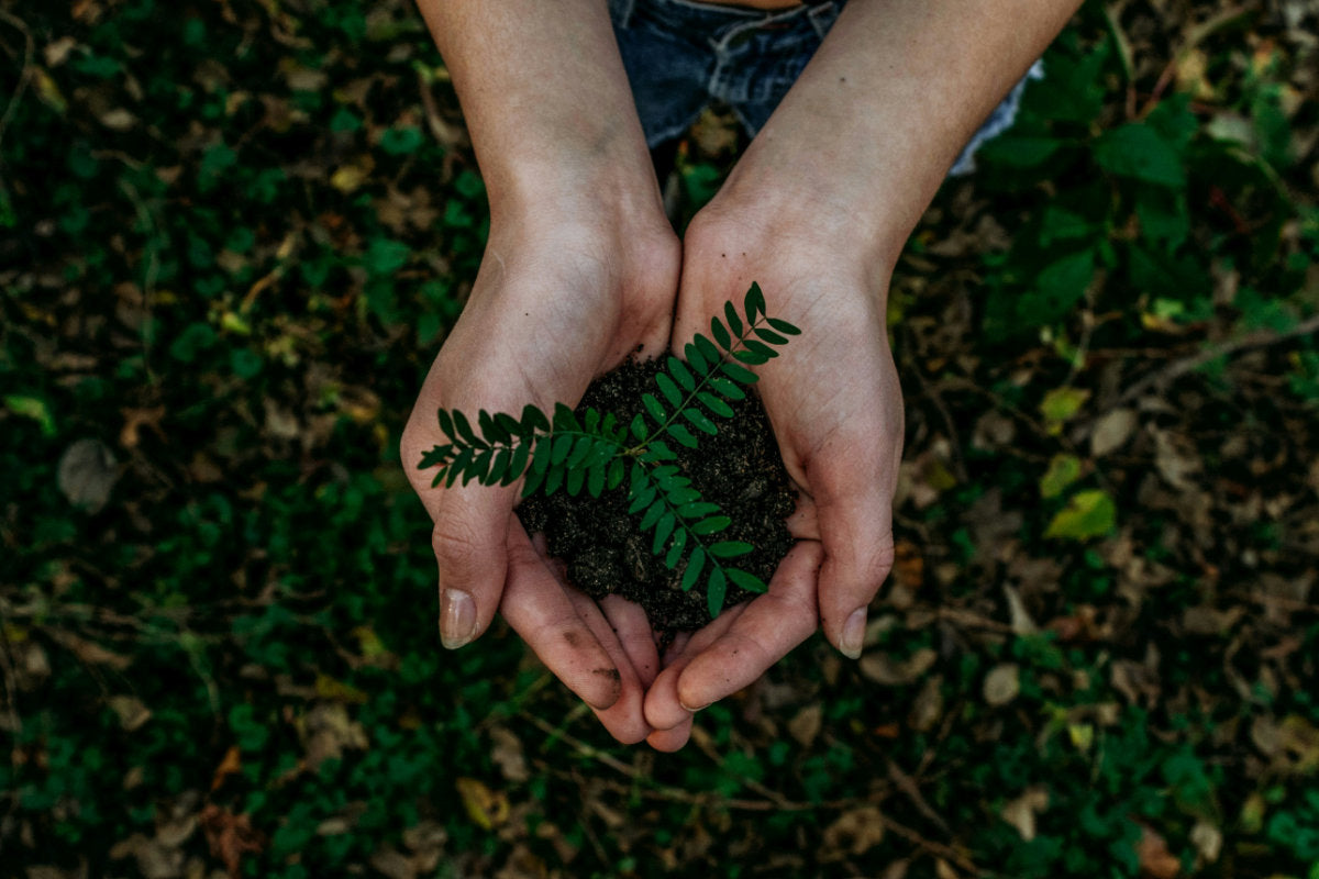 Nachhaltig Leben mit Minimalismus